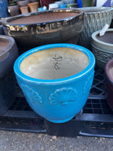 A1 Robin egg blue shell detail small