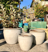 Ceramic Fishbowl Planter